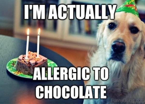 I'm Actually Allergic To Chocolate