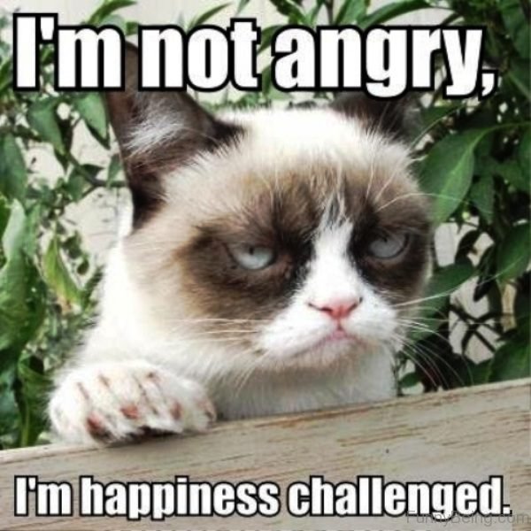 I'm Not Angry