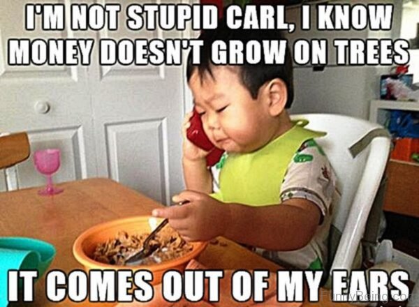 I'm Not Stupid Carl