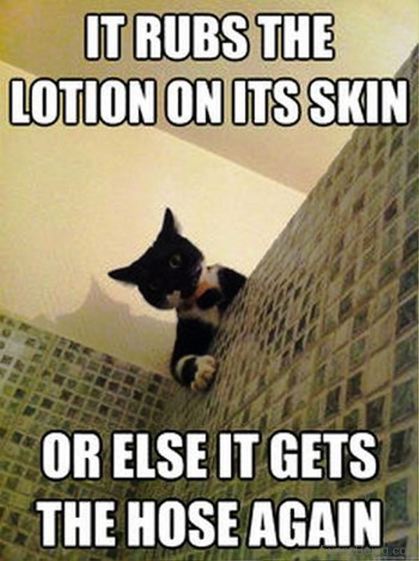 It Rubs The Lotion On Its Skin