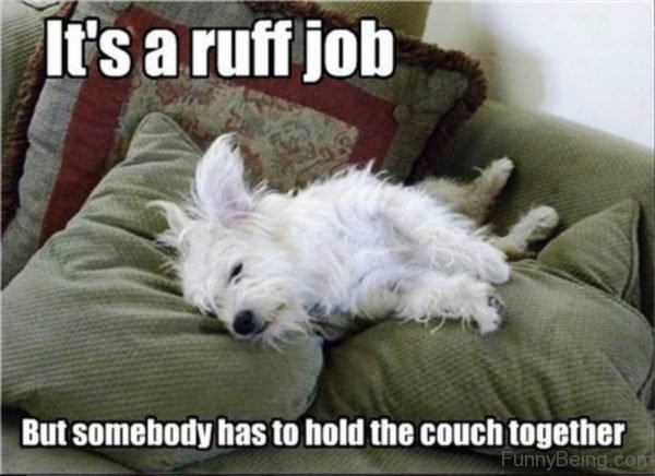 It's A Ruff Job