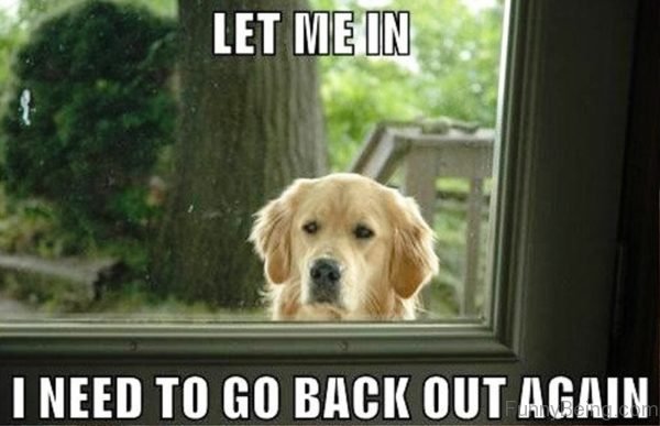 Let Me In