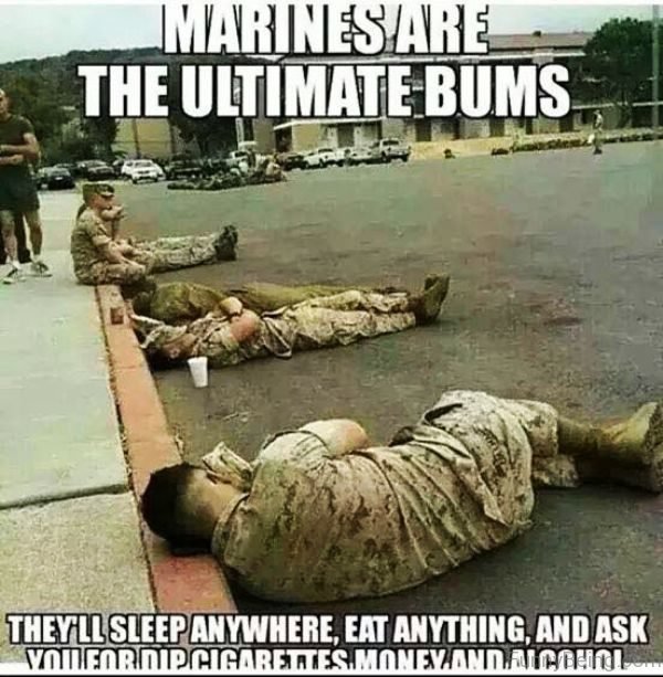 Marines Are The Ultimate Bums