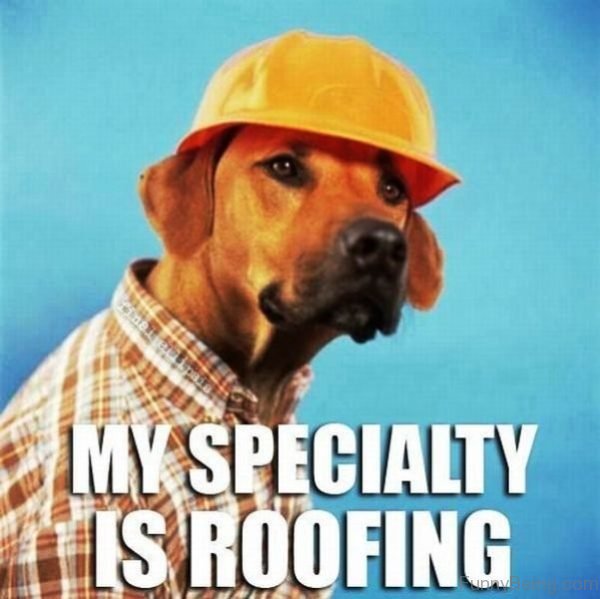 My Specialty Is Roofing