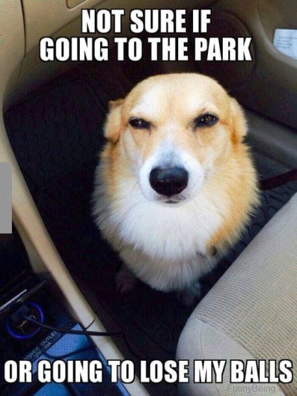 Not Sure If Going To The Park