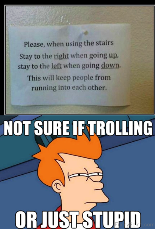 Not Sure If Trolling Or Just Stupid