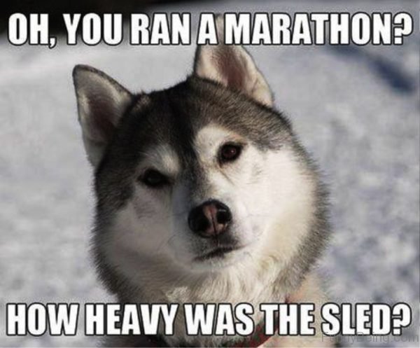 Oh You Ran A Marathon