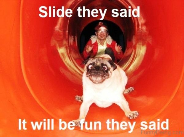 Slide They Said