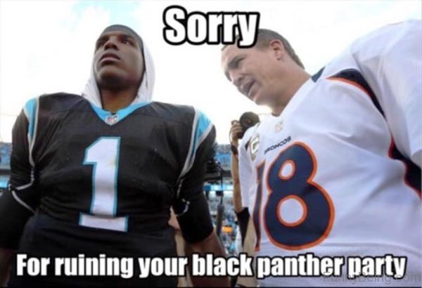 Sorry For Ruining Your Black Panther Party