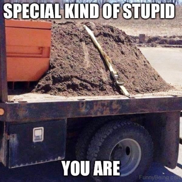 Special Kind Of Stupid You Are