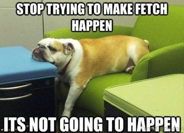 Stop Trying To Make Fetch Happen