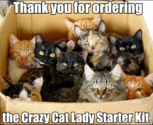 Thank You For Ordering