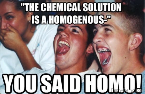 The Chemical Solution Is A Homogenous