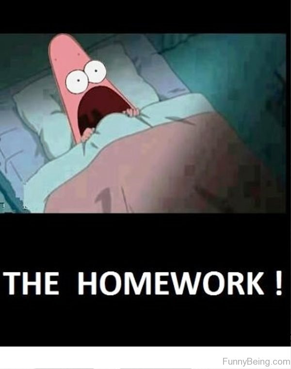 The Homework