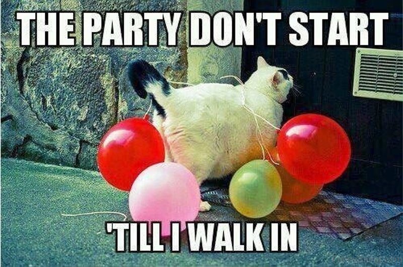 50 Most Funny Party Memes Funny Party Time Images