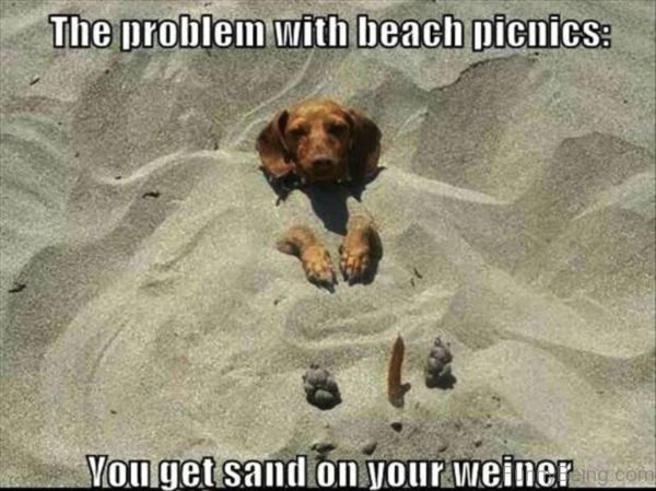 The Problem With Beach Picnics