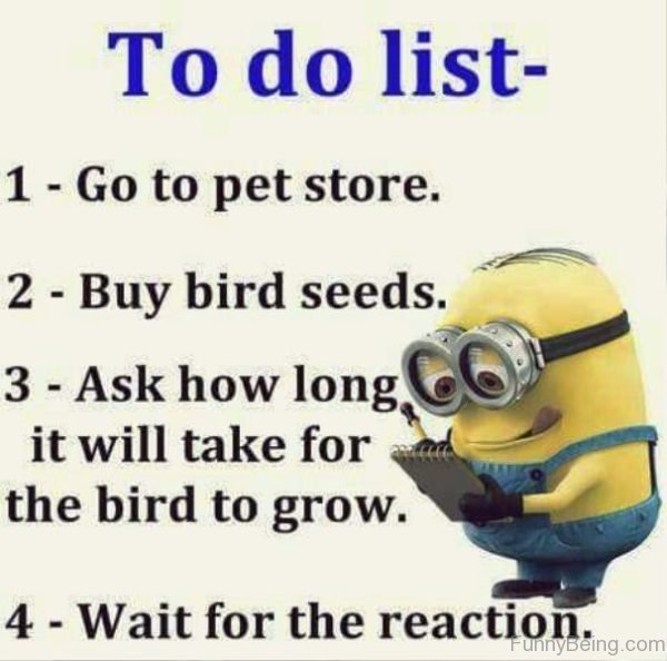 To Do List