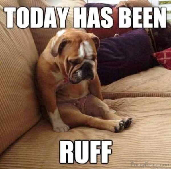 Today Has Been Ruff