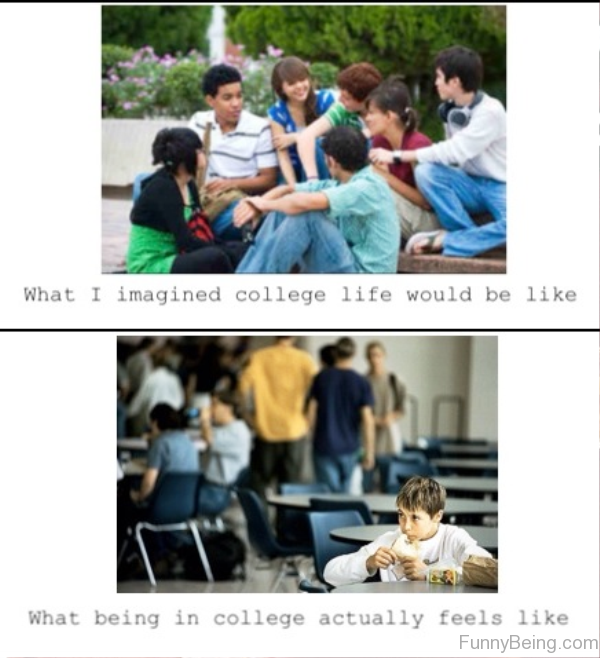 What I Imagined College Life