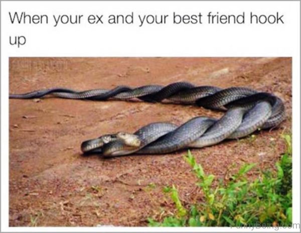 When Your Ex And Your Best Friend Hook Up