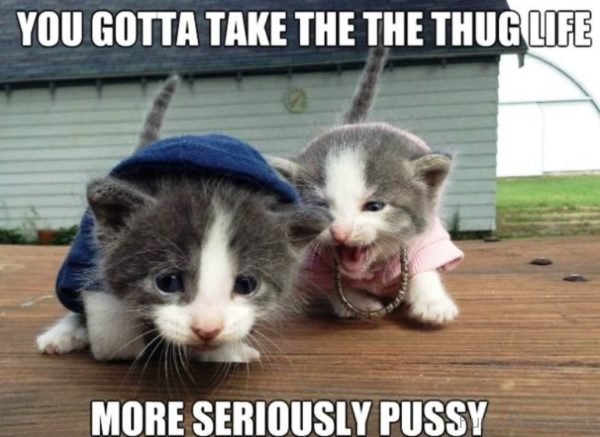 You Gotta Take The Thug Life