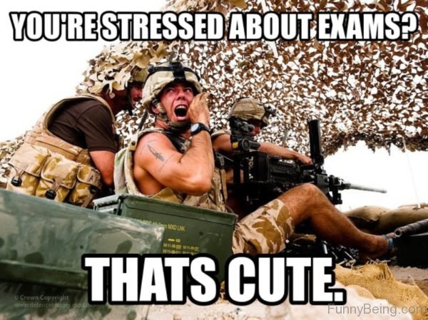 Youre SYou're Stressed About Examstressed About Exams