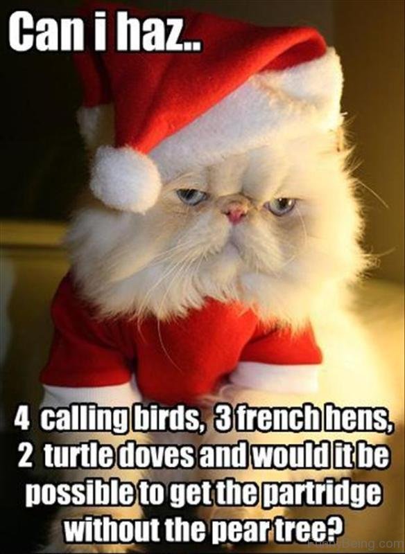 Top 90 Funny Christmas Memes