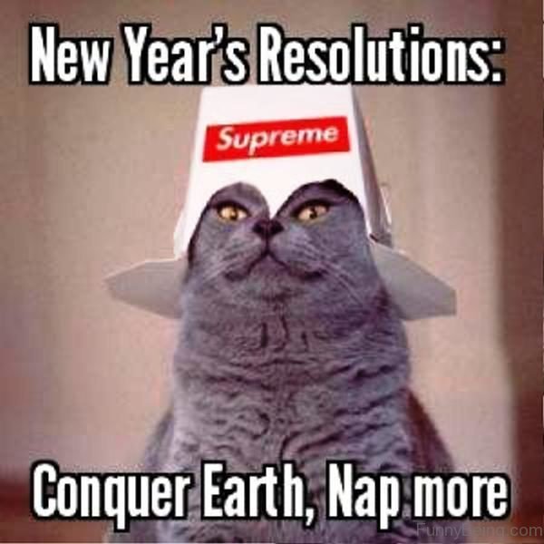 Conquer Earth Nap More