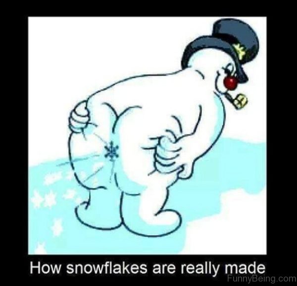 How Snowflakes Are Really Made