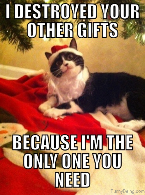 I Destroyed Your Other Gifts