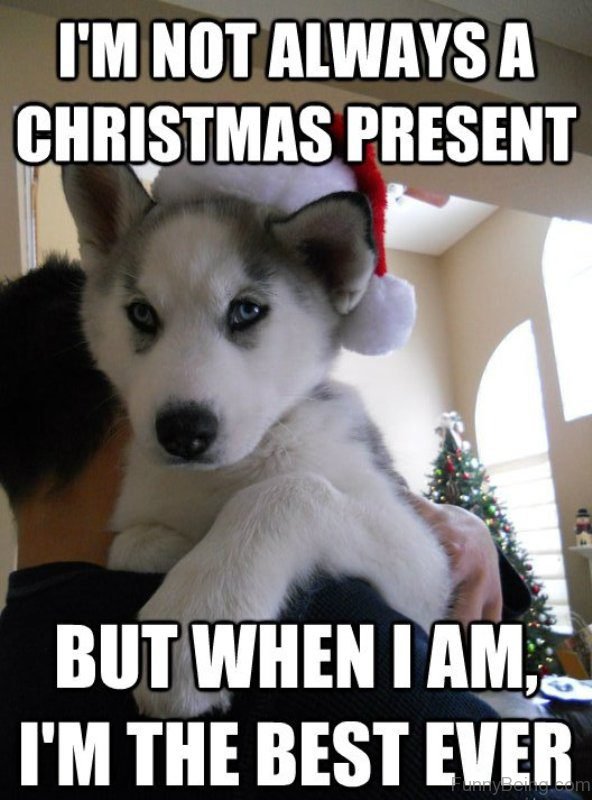 I'm Not Always A Christmas Present