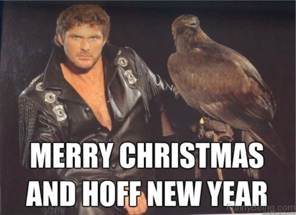 Merry Christmas And Hoff New Year