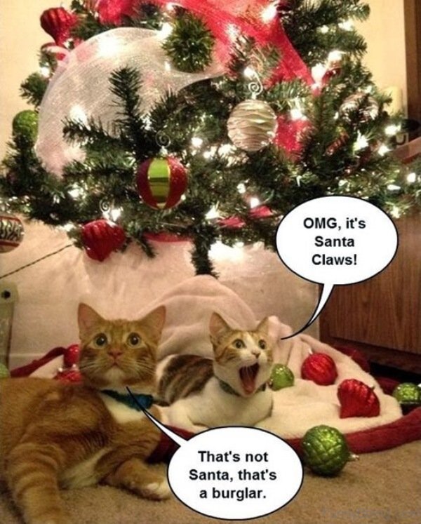 80 Best Funny Christmas Memes