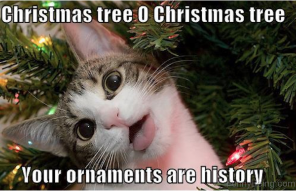Your Ornaments Are History