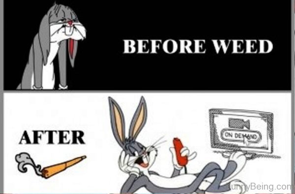 70 All Time Best Cartoon Memes