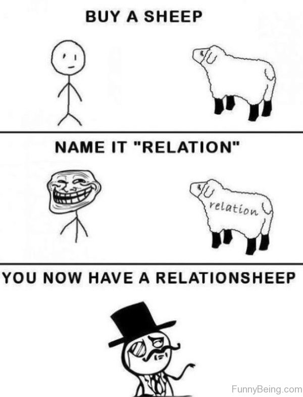 Buy A Sheep