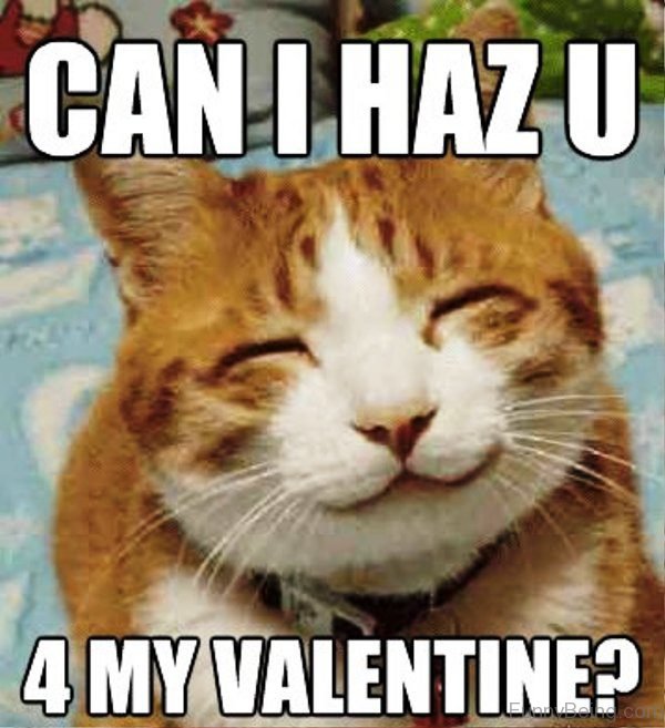 Can I Has You 4 My Valentine