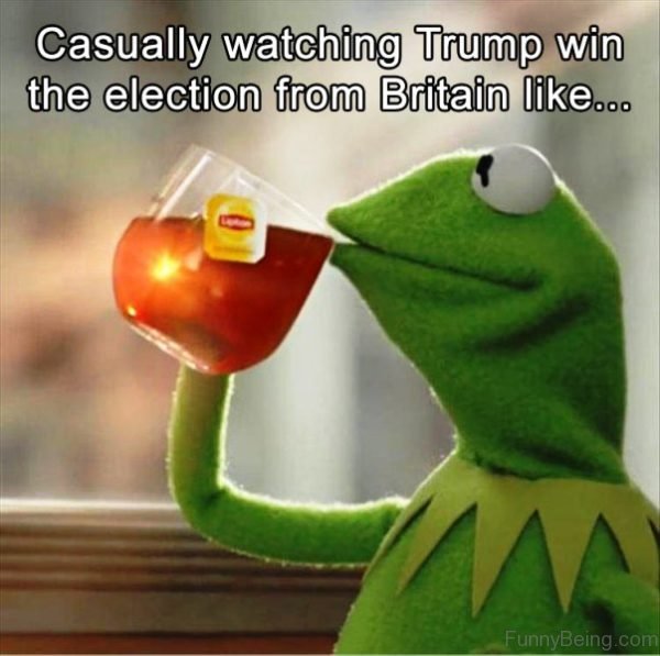 Casually Watching Trump Win The Election