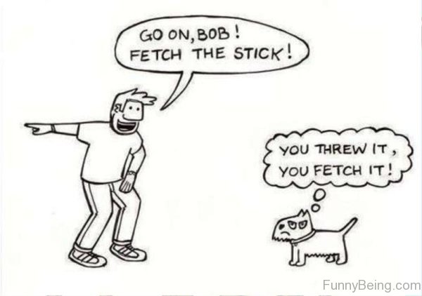 Go On Bob Fetch The Stick