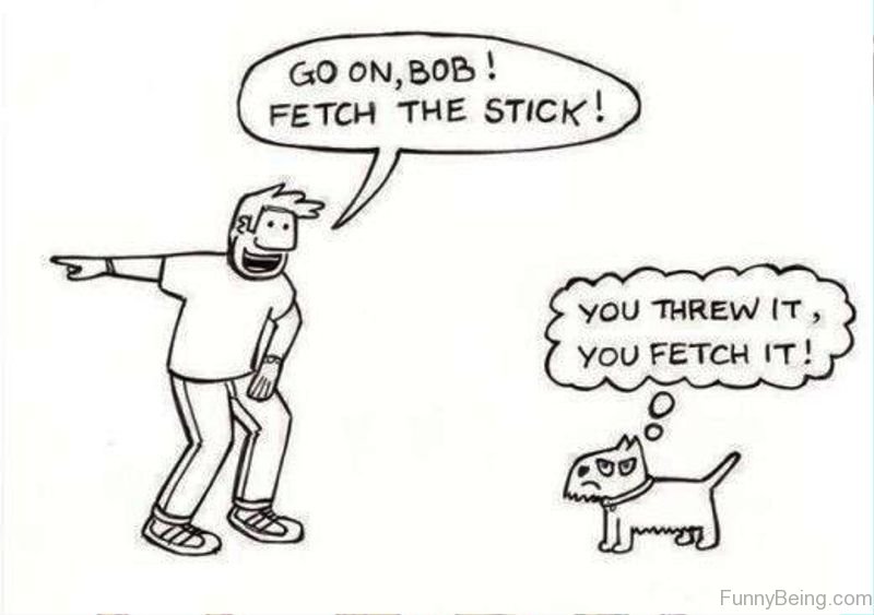Стик перевод. Fetch перевод. Bring fetch разница. Fetch комикс. Bring take fetch разница.