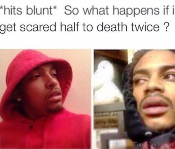 Hits Blunt