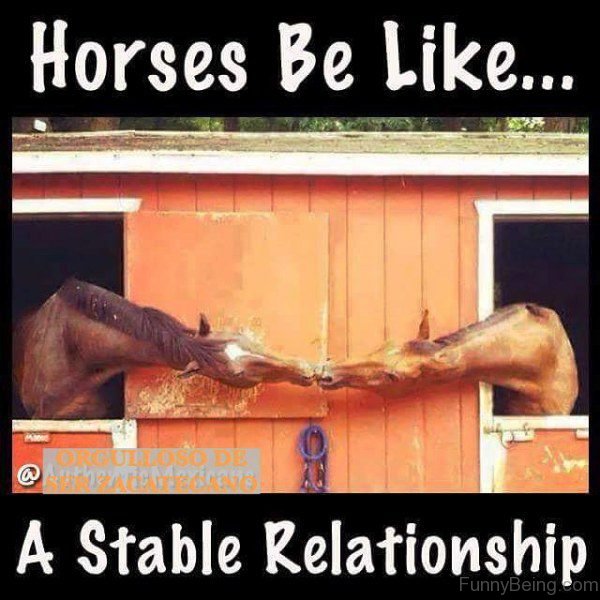 Horses Be Like