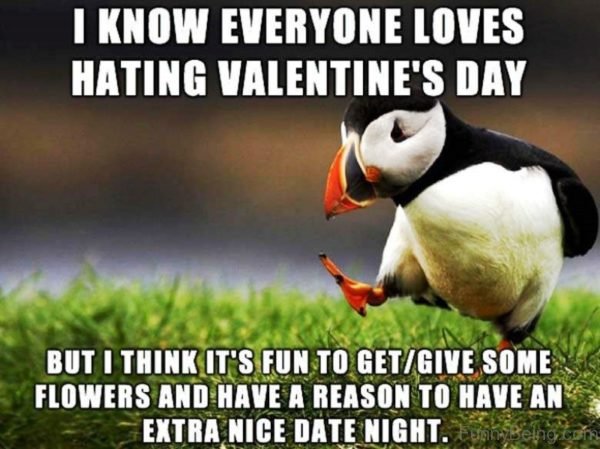 I Know Everyone Loves Hating Valentines Day 