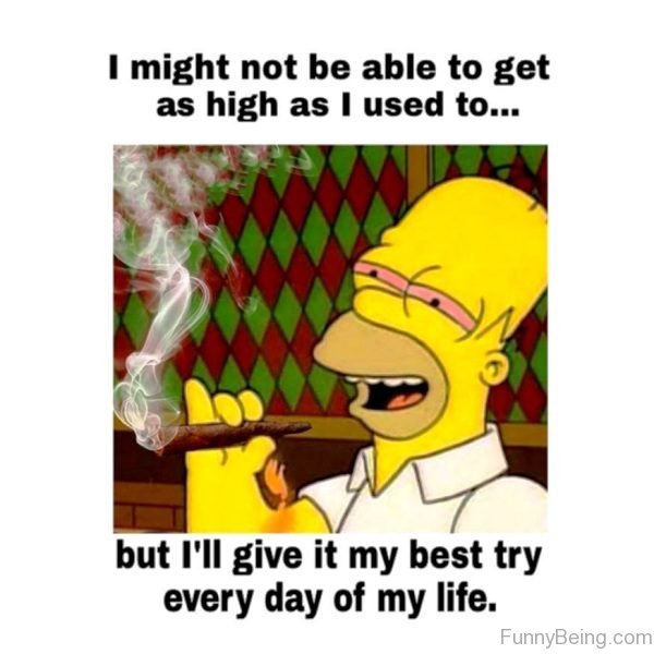 I Might Not Be Able To Get As High