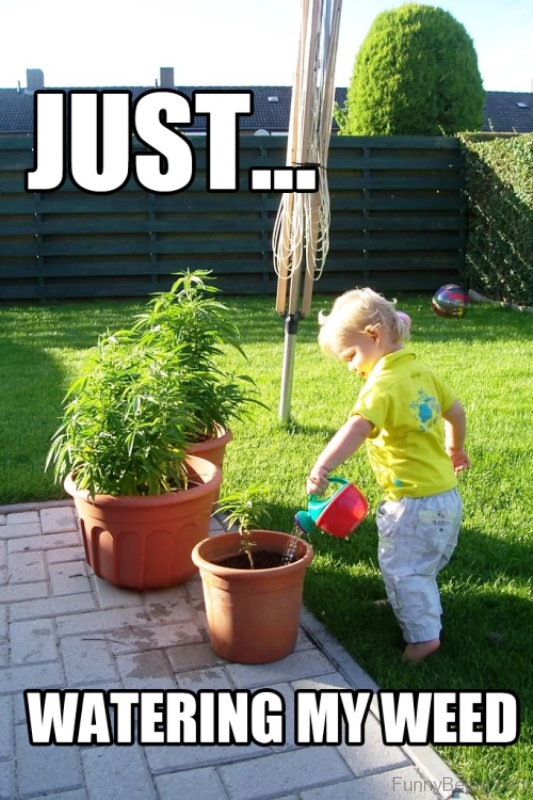 Just Watering My Weed