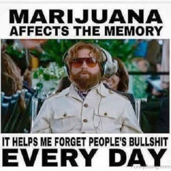 Marijuana Affects The Memory