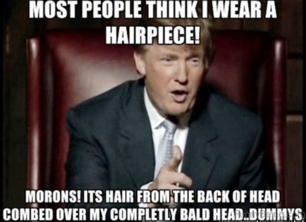 80 Best Donald Trump Memes