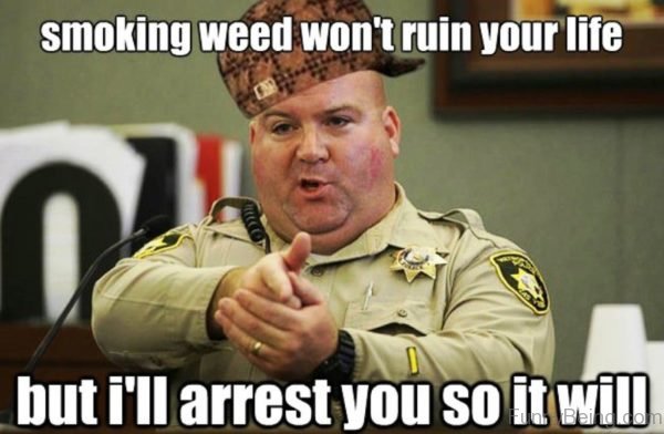 Smoking Weed Wont Ruin Your Life