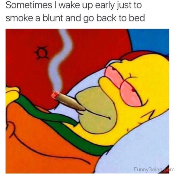 81 Classic Weed Memes For You