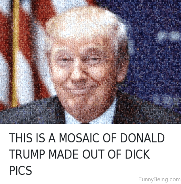 This Is A Mosaic Of Donald Trump